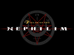 Fields Of The Nephilim artist photo