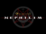 Fields Of The Nephilim artist photo