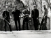 Steve Riley & The Mamou Playboys event picture