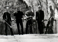 Steve Riley & The Mamou Playboys artist photo