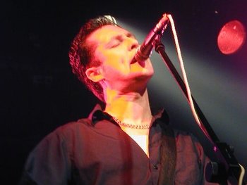 Miles Hunt artist photo