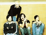 The Used artist photo