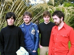 Palomino artist photo