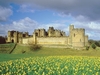 Alnwick Castle photo