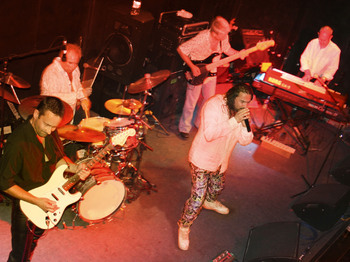 The Purple Project artist photo
