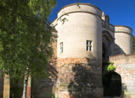 Robin Hood Beer And Cider Festival artist photo