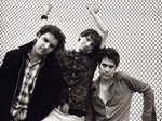 Jon Spencer Blues Explosion artist photo