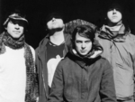 Animal Collective artist photo