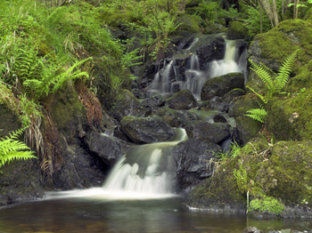 Borrowdale venue photo
