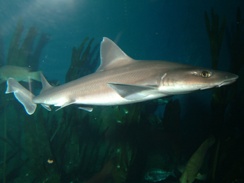 National Marine Aquarium venue photo
