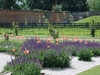 Elsham Hall Gardens And Country Park photo