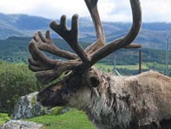 Highland Wildlife Park venue photo