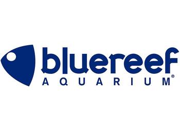 Blue Reef Aquarium venue photo