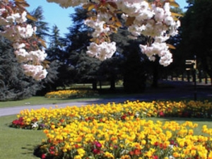 Cannon Hill Park artist photo