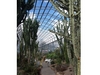 Duthie Park & Winter Garden photo