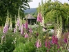 RHS Garden Rosemoor photo