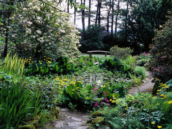 Arduaine Garden venue photo