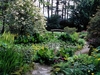 Arduaine Garden photo