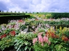 Geilston Garden photo