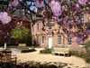 Tullie House Museum & Art Gallery photo