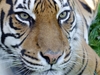 Paradise Wildlife Park photo
