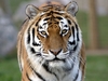 Linton Zoological Gardens photo