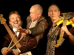 The Hamsters artist photo