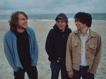 Black Dice artist photo