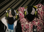 The Bloody Beetroots artist photo