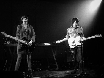 Six Organs of Admittance artist photo