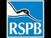 Arne RSPB photo