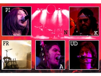 Pink Fraud artist photo