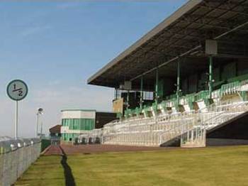 Brighton Racecourse venue photo