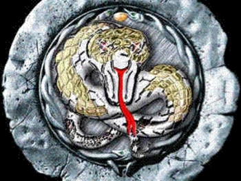 Slip Of The Tongue - Whitesnake Tribute artist photo