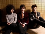Golden Silvers artist photo