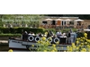 Beese's Bar & Tea Gardens photo