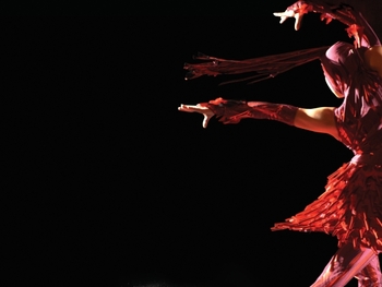 Cirque de Glace artist photo