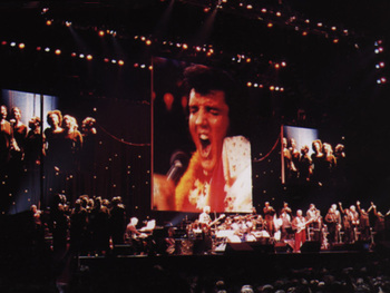 Elvis Presley In Concert artist photo