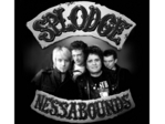 Splodgenessabounds artist photo
