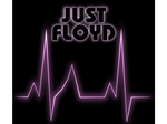 Just Floyd artist photo