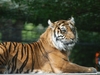 ZSL London Zoo photo