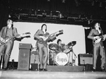 The Fab Beatles artist photo