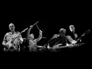 Ducks Deluxe featuring Brinsley Schwarz artist photo
