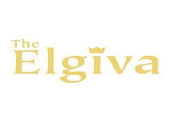 Elgiva Theatre venue photo