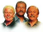 The Wolfe Tones artist photo