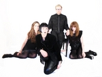Vile Electrodes artist photo