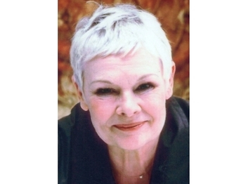 Dame Judi Dench artist photo