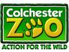 Colchester Zoo photo