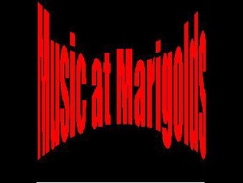 Marigold's Club venue photo