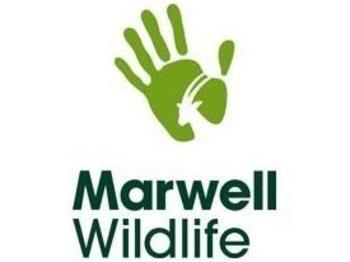 Marwell Wildlife venue photo